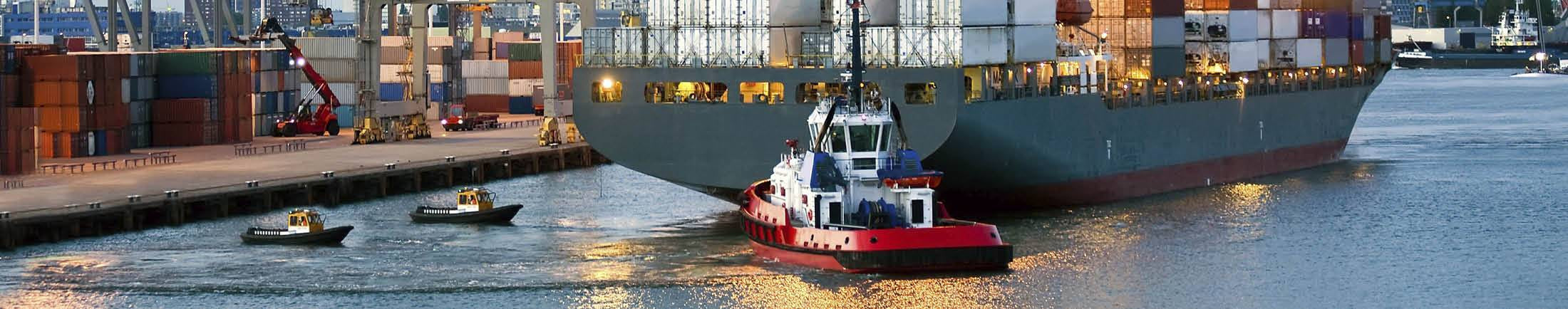 Container ship with a tugboat in a harbor